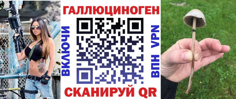 Псилоцибиновые грибы Psilocybe  Куровское 